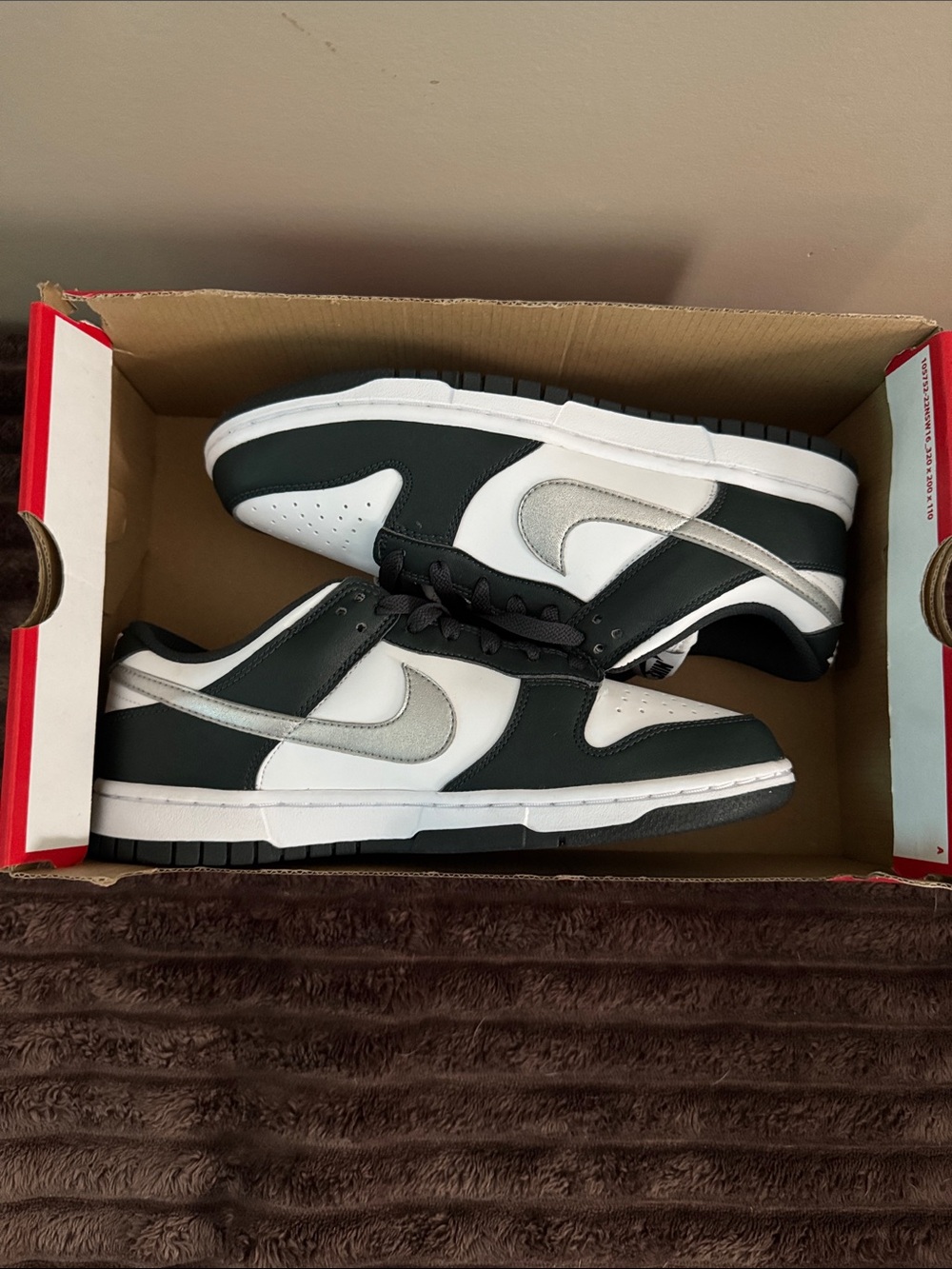 Nike Dunks Low-